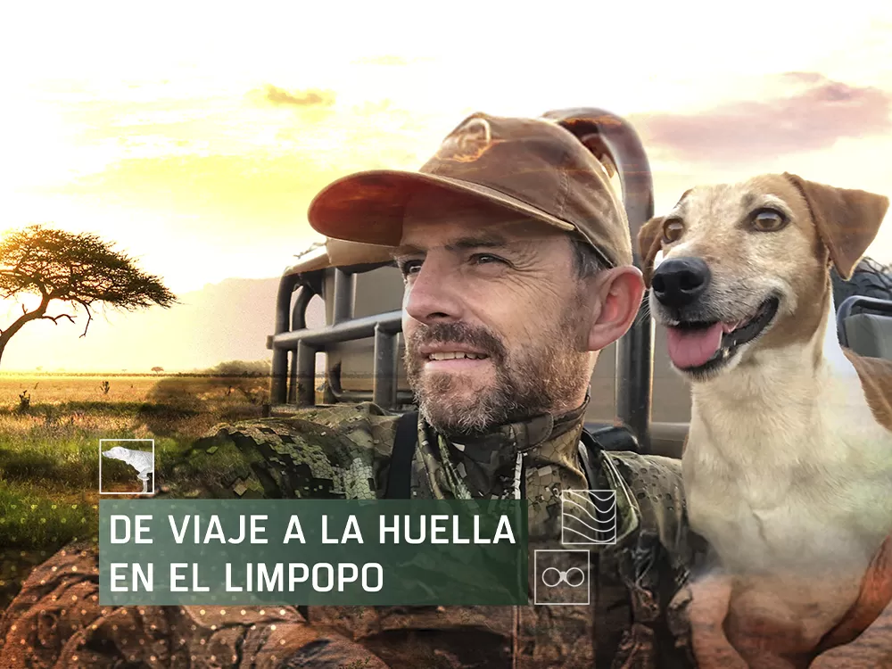 De viaje: A la huella en el Limpopo en Caza y Pesca | Movistar Plus+