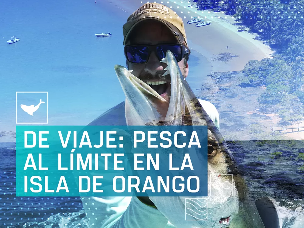 De viaje: Pesca al límite en la isla de Orango, en Caza y Pesca | Movistar Plus+