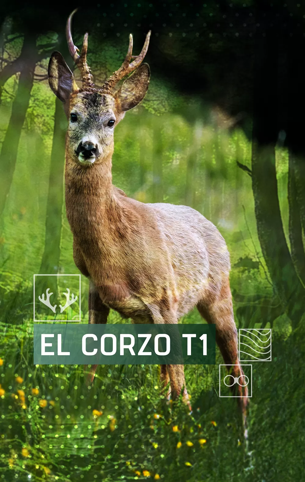 El corzo, en Caza y Pesca | Movistar Plus+
