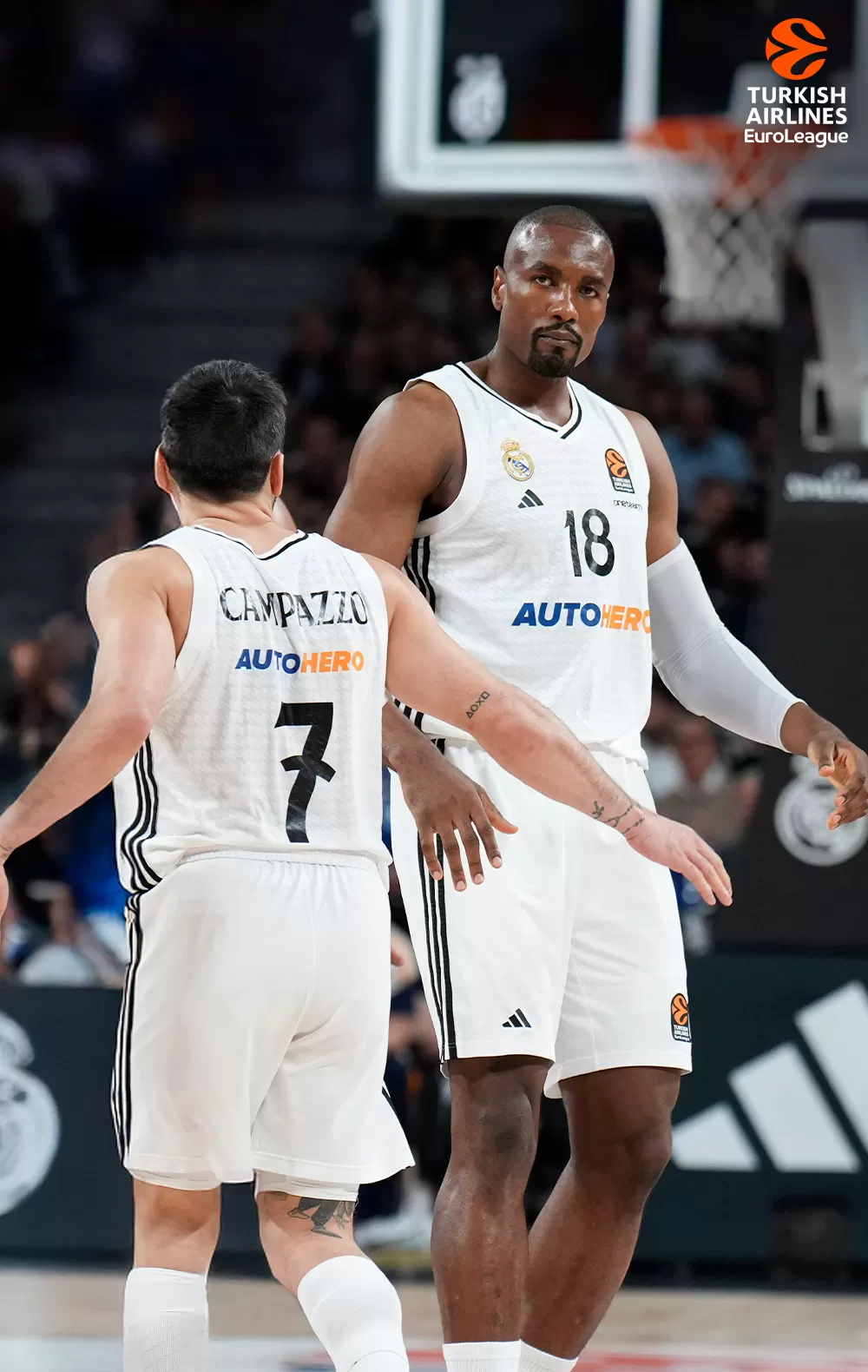 Euroliga · Play-In, Real Madrid-Bayern, 18 abr. en Movistar Plus+