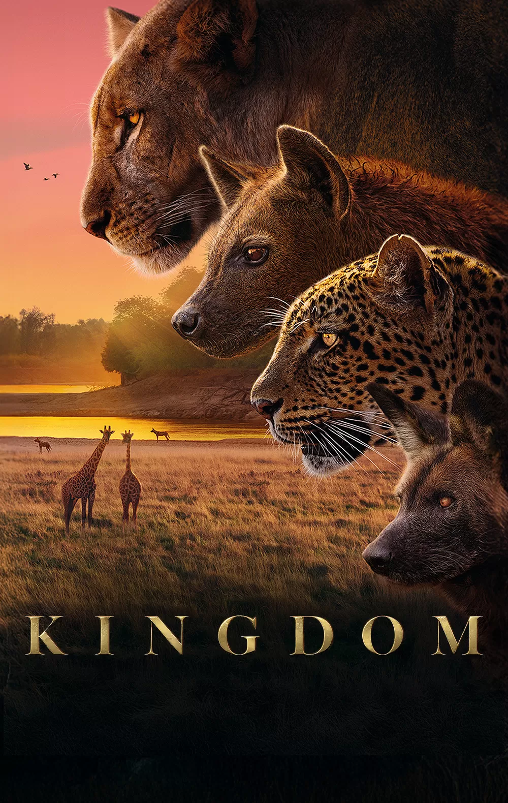 'Kingdom', en Movistar Plus+