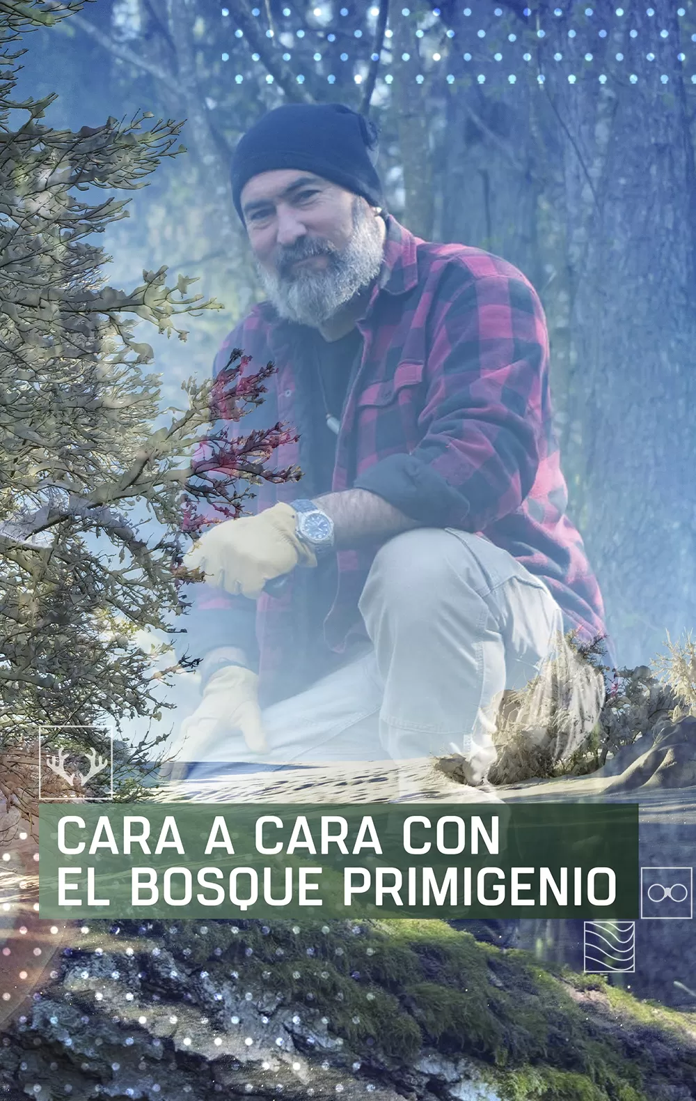 Cara a cara con el bosque primigenio, en Caza y Pesca | Movistar Plus+