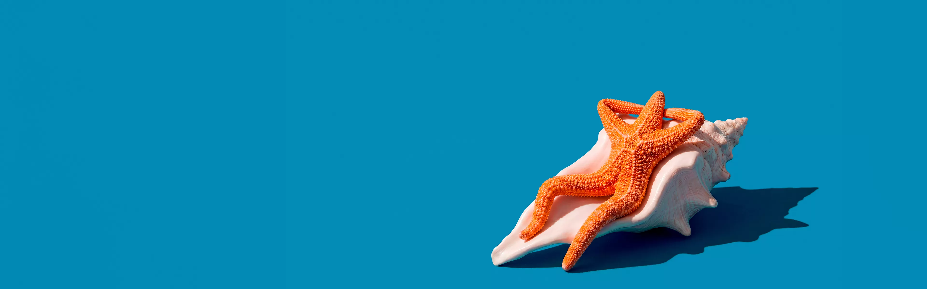 Las mejores películas veraniegas y series en Movistar Plus