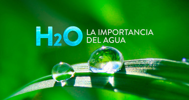 H2O: la importancia del agua