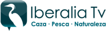 Iberalia TV