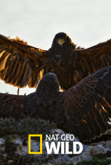Nat Geo Wild