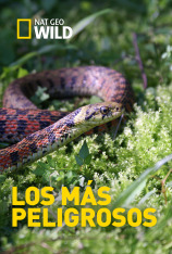Los más peligrosos