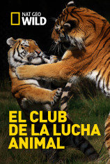 Nat Geo Wild