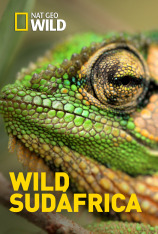 Wild Sudáfrica