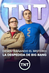 Desentrañando el misterio: la despedida de Big Bang (VOS)
