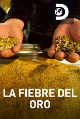 La fiebre del oro