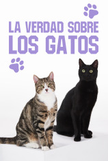 La verdad sobre los gatos