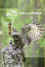 Wild Laponia