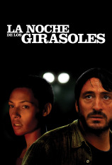 La noche de los girasoles