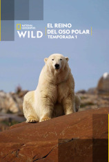 El reino del oso polar