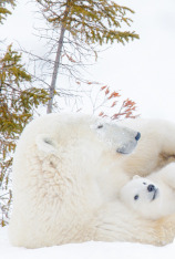 National Geographic