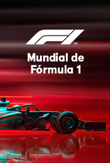 Mundial de Fórmula 1 (T2014)