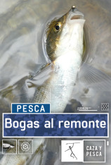 Bogas al remonte