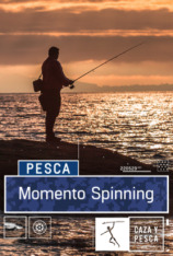 Momento Spinning