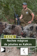 Noches mágicas de jabalies en Kalkim