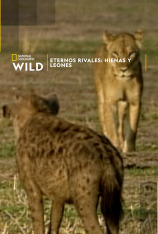 Eternos rivales: hienas y leones