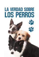 La verdad sobre los perros