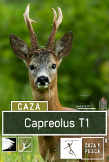 Capreolus