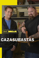 Cazasubastas