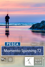 Momento Spinning