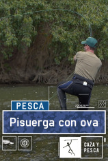 Pisuerga con ova