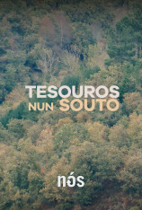 Tesouros nun souto dos Ancares