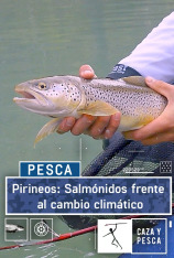 Pirineos: salmónidos frente al cambio climático