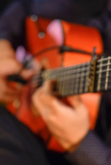 Flamenco Andalucía