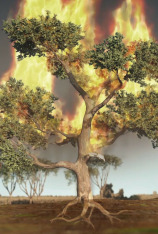 La ciència darrere de les forces de la naturalesa