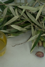 Canal Cocina