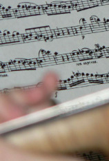 Bach - Concierto de Brandeburgo no 6