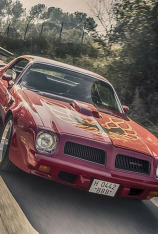 V8 Classic Trucks