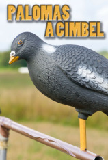 Palomas a Cimbeles