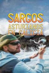Sargos asturianos en Galicia