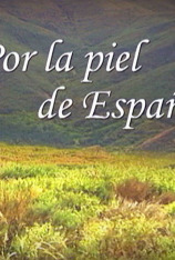 El Toro TV