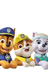 La patrulla canina Single Story