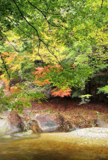 Kyushu, el Japón ancestral
