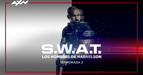 S.W.A.T.: Los hombres de Harrelson (T2)