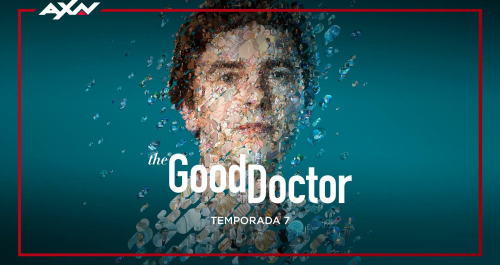 The Good Doctor. T(T7). The Good Doctor (T7)