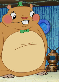 Bob Esponja. T11.  Episodio 10: Achucho C. Abrazón / ¡Arre, Patricio!