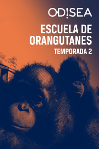 Escuela de orangutanes. T2. Escuela de orangutanes