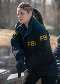 FBI. T2.  Episodio 16: La habitación del pánico