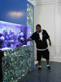 Acuarios XXL. T8.  Episodio 18: El tanque gigante para tiburones de Tracy Morgan