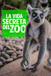 La vida secreta del Zoo. T6. La vida secreta del Zoo