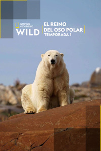 El reino del oso polar. T1. El reino del oso polar
